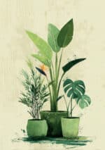 鉢植えの観葉植物を描いたリビング ナチュラル アートパネル