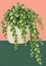 淡いピンク背景に鉢植えの葉がこぼれるように広がるリーフ 壁掛けアートのアートパネル